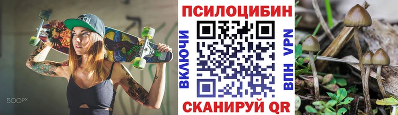 Псилоцибиновые грибы Magic Shrooms  Беслан 